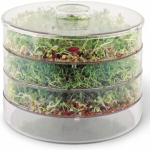 BioSnacky Large Germinator with sprouts