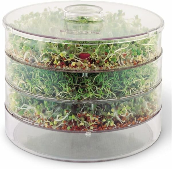 BioSnacky Large Germinator with sprouts