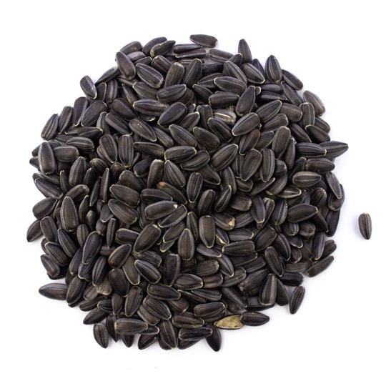 Organic Black Sunflower Seed