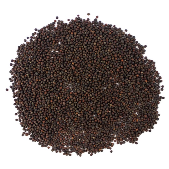 Organic Kohlrabi Purple Seed