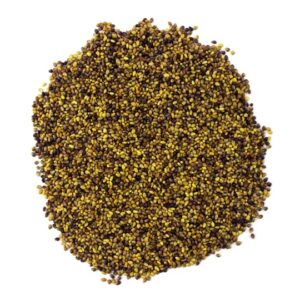 Organic Red Clover Seed