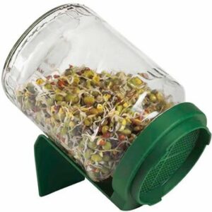 Biosnacky sprouter jar full of sprouts