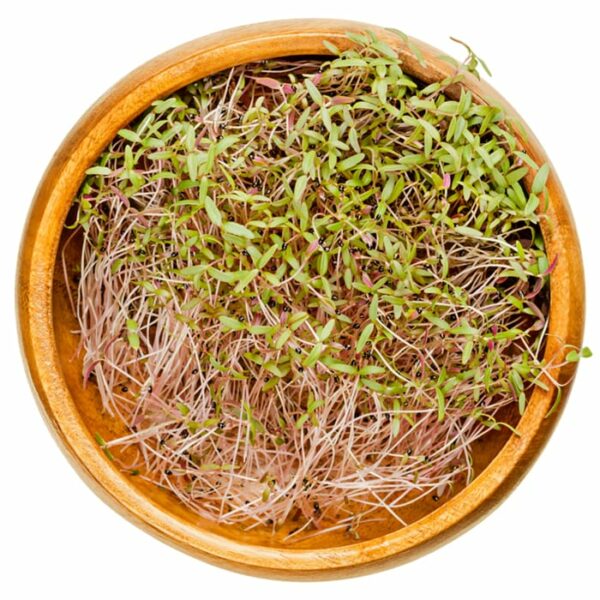 Amaranth Sprout Microgreens in bowl