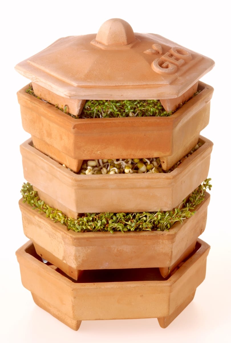 Bavicchi Geo Terracotta Sprout Tower - Piccantino Online Shop International