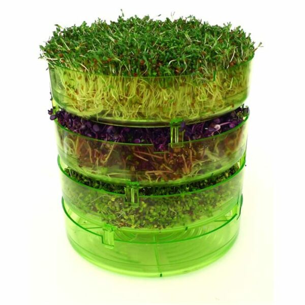 GEO Plus Sprouter with grown sprouts