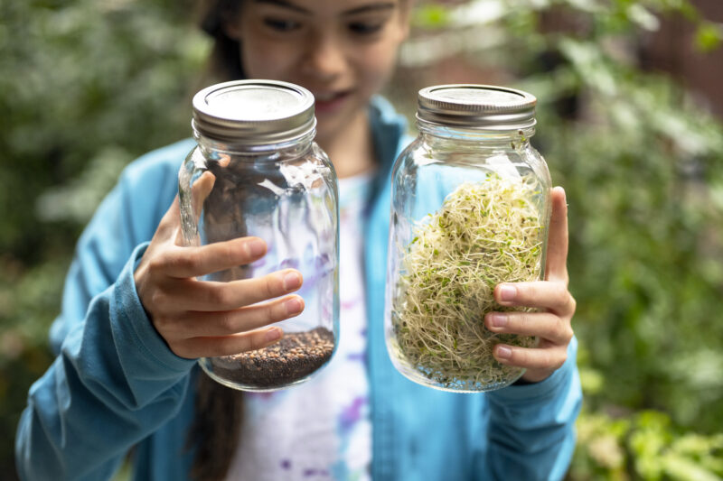 Girl holding sprouting jars and sprouting kits